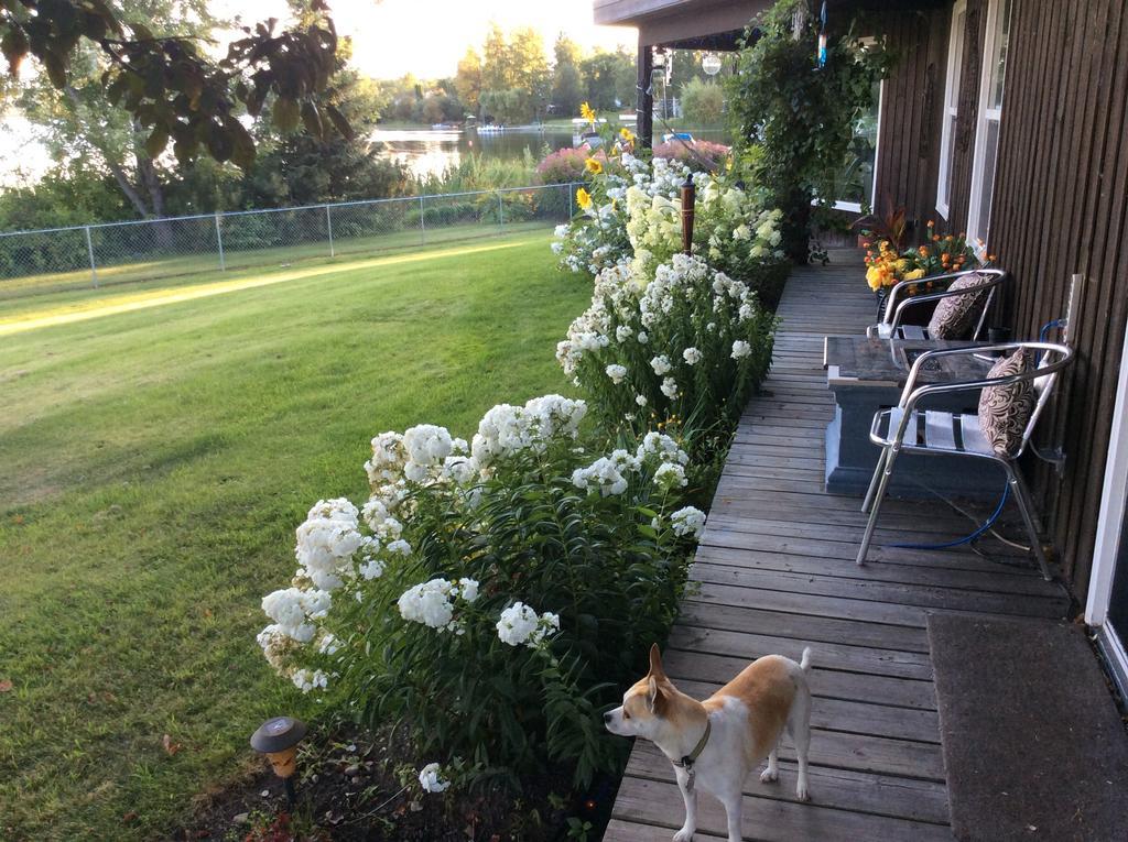 Robert'S Roost Rv Park Resort เควสเนล ภายนอก รูปภาพ
